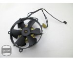 Honda CBR600 radiatorfan / koelfan motor / radiateur vin / radiateur fan